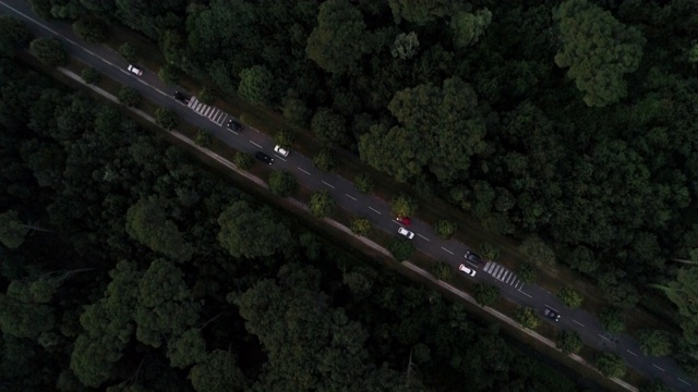 鸟瞰图上的交通正通过一个森林，托斯卡纳，意大利视频素材