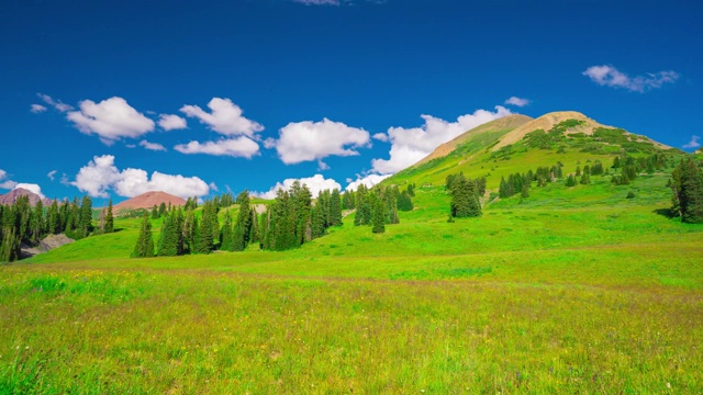 郁郁葱葱的绿色草地在岩石山国家公园埃斯蒂斯时间流逝4K视频下载