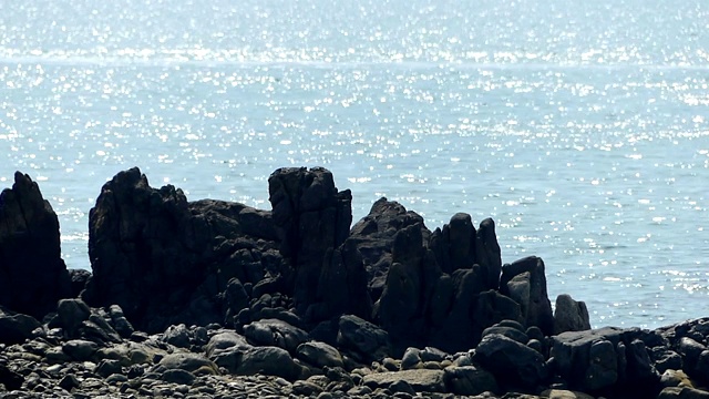 从多岩石的海滩上看到闪闪发光的大海。视频下载