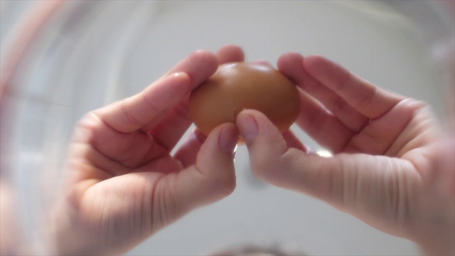 鸡蛋掉进碗里视频下载