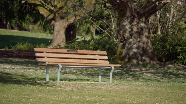 公园长椅在樱花树下的草地上视频下载