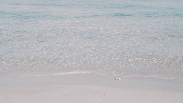 巴利阿里岛福门特拉海滩透明的波浪视频素材