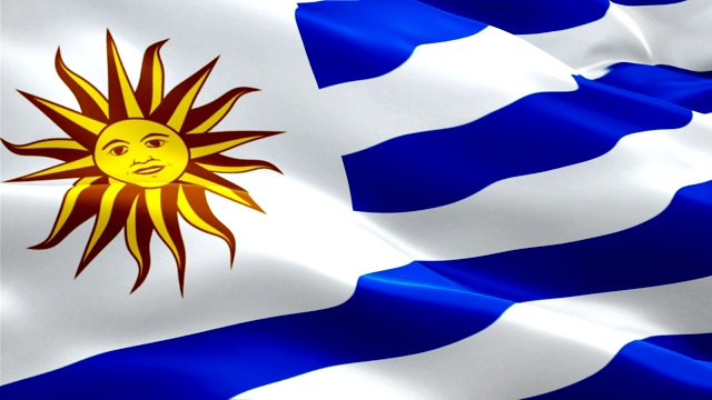 阿根廷挥舞着国旗。3d阿根廷国旗飘扬。阿根廷标志无缝循环动画。阿根廷旗帜高清分辨率背景。阿根廷国旗特写1080p全高清视频演示视频素材