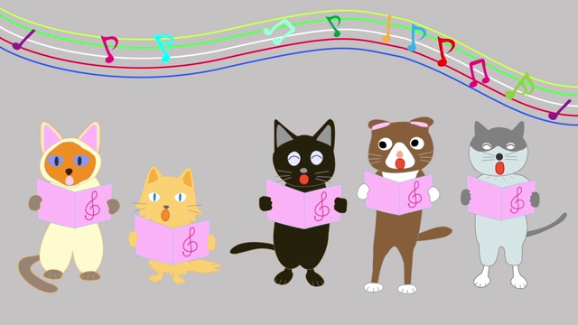 猫音乐会视频素材