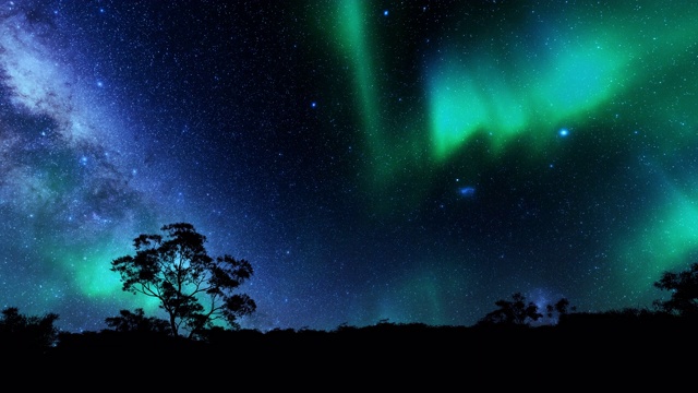 北极光和星空下的树木剪影，4K视频下载