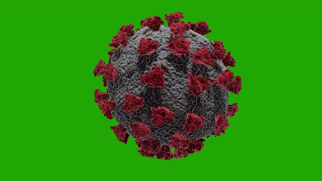 透明阿尔法通道背景上的冠状病毒细胞视频素材