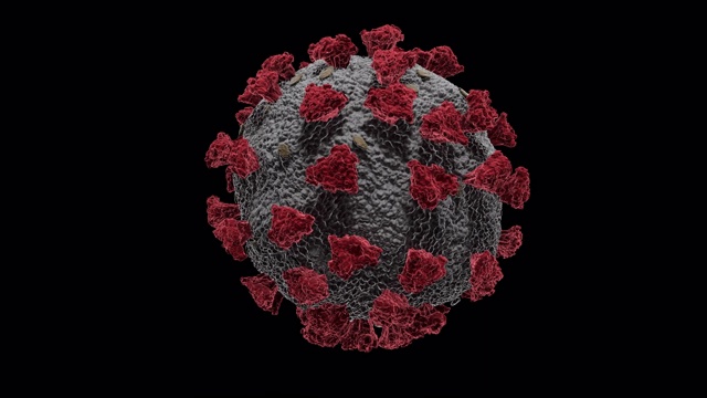 黑色背景中的冠状病毒细胞循环视频素材