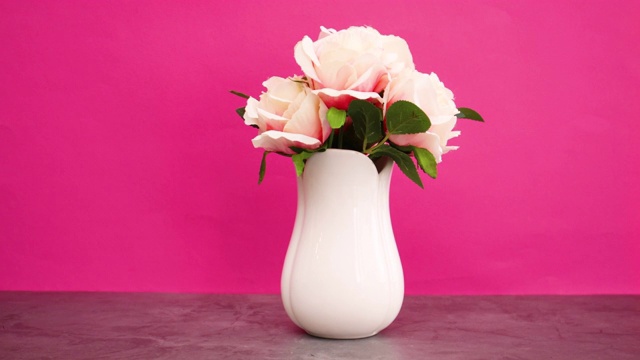 粉红背景上的白花瓶玫瑰-定格动作视频下载