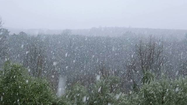 乡村降雪视频下载