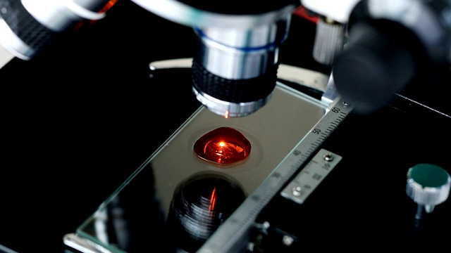 科学家为实验调整显微镜。视频素材