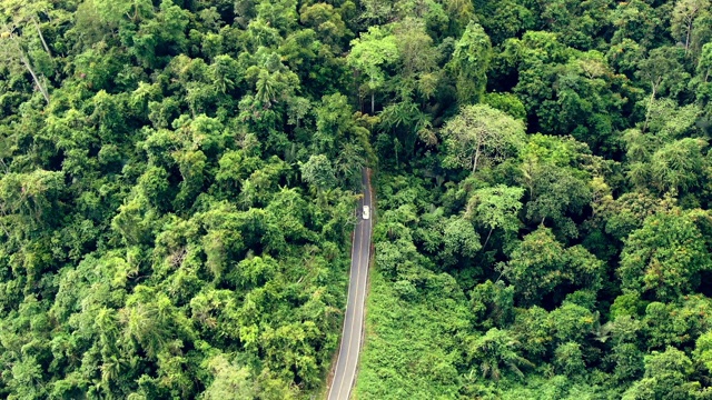 慢动作和following视频的汽车在雨林的道路上运行。亚洲森林鸟瞰图。无人机飞越丛林。交通与环境概念。视频素材