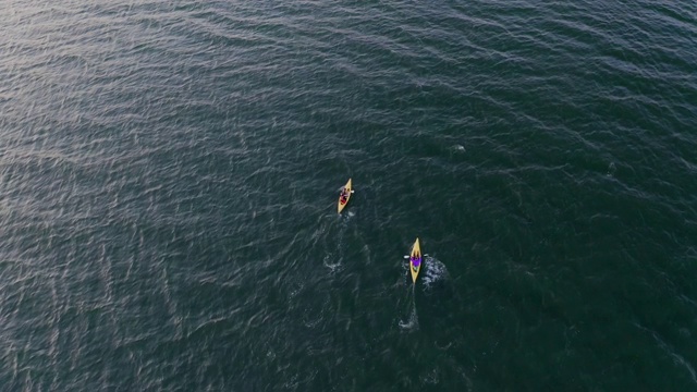 人们在海上划皮艇的鸟瞰图视频下载