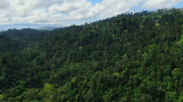 远射亚洲雨林鸟瞰图。无人机飞越丛林。白天的时间有云和蓝天。视频素材