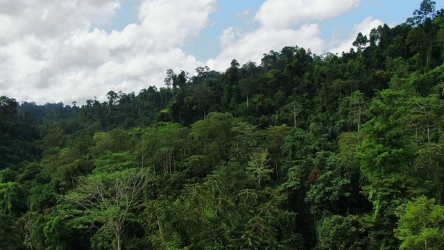 中景亚洲雨林鸟瞰图。无人机飞越丛林。白天的时间有云和蓝天。视频素材