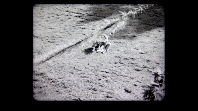 1968年，年轻的女士在草地上的垫子上作画视频素材