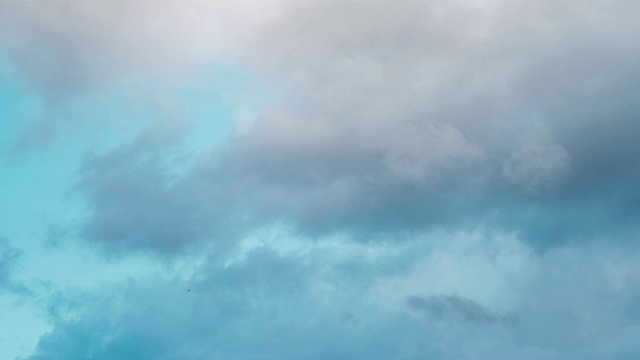 燕子在飞翔，背景是白云和蓝天视频下载