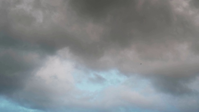 巨大的雷雨云和天空中飞翔的燕子视频下载