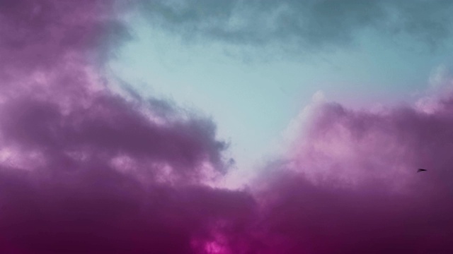 鸟儿在巨大的有毒的粉红色云层中飞翔视频下载