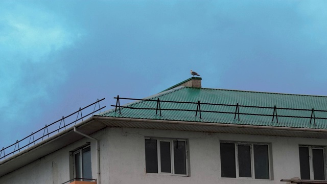 一只海鸥在暴风雨的天空中栖息在屋顶上视频下载
