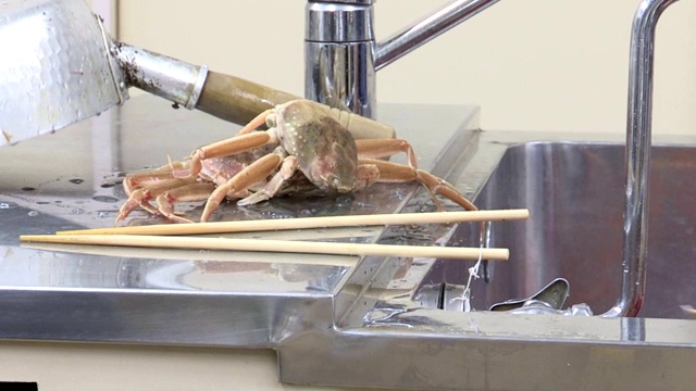 洗蟹美食视频素材