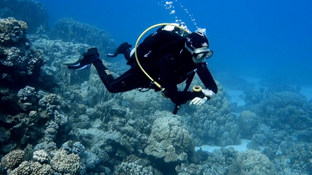 潜水员沿着多彩的珊瑚礁移动视频下载