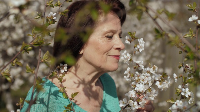 一个女人在闻一棵开花的树视频下载