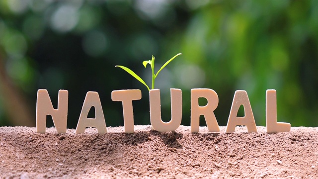 “自然”这个词是木制的字母。视频下载
