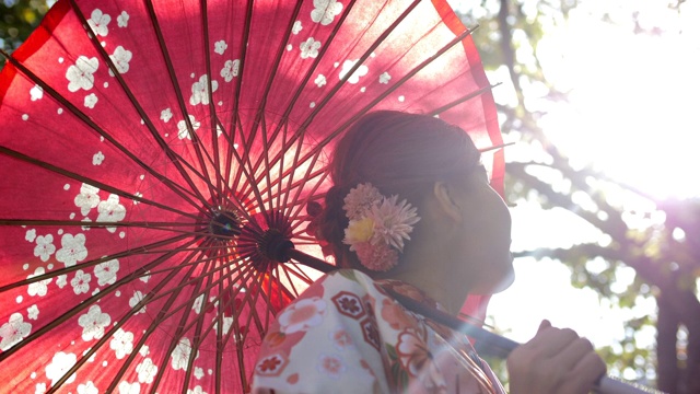 穿着传统和服的亚洲妇女视频下载