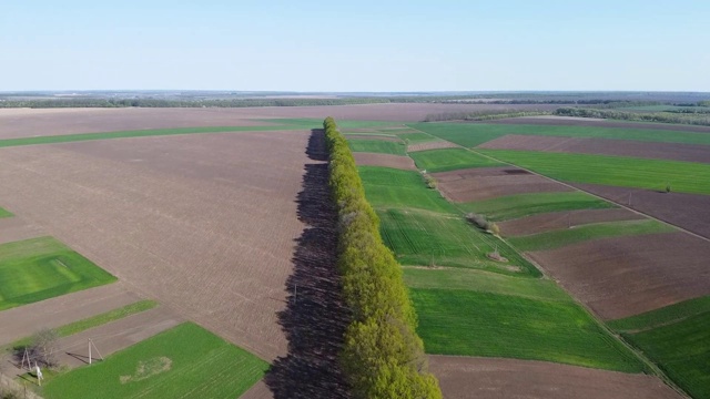 飞越一片树木和田野，从高处俯瞰农业区。视频下载