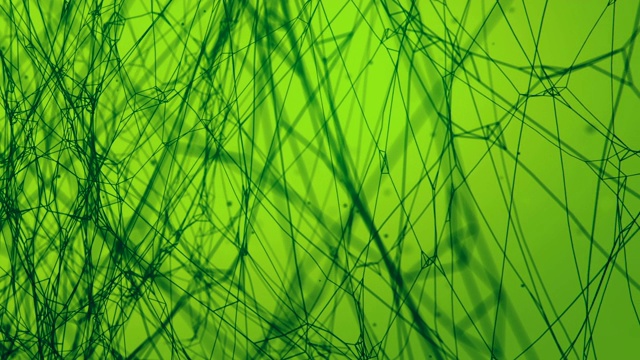 卡通风格的蜘蛛网被飘飞的粒子包围在朦胧的绿色背景上。抽象的可怕的雾背景。神秘的光量。3 d渲染。高清分辨率视频素材