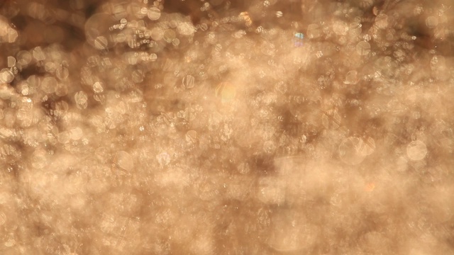 草与露珠在秋天的颜色镜头背景视频素材
