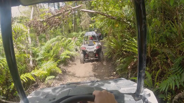 在美丽的森林里，四轮马车在泥泞的道路上奔驰。极端的假期视频素材