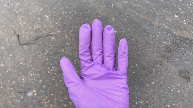 雪花落在一只戴着紫色手套的女性手上视频下载