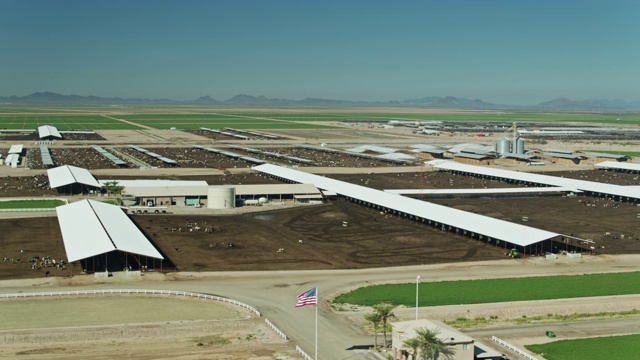 亚利桑那州沙漠大型养牛场-无人机拍摄视频下载