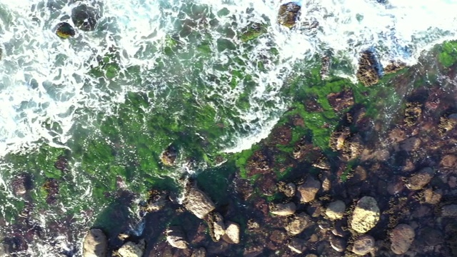 悉尼北部海滩和海岸线无人机视觉视频素材