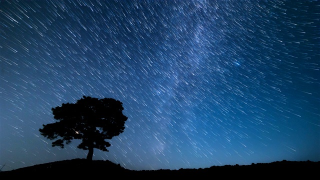 韩国江原道正城郡时间胶囊公园(Time Capsule Park)的夜空与松树视频素材