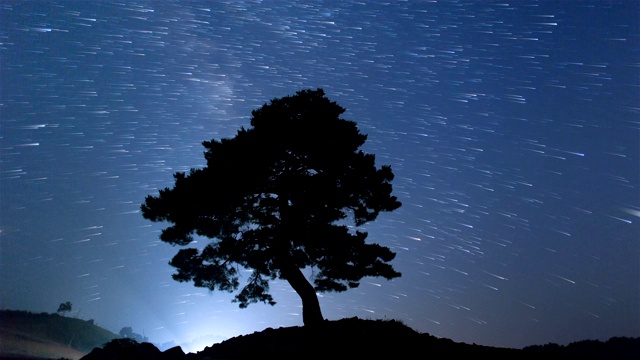 韩国江原道正城郡时间胶囊公园(Time Capsule Park)的夜空与松树视频素材