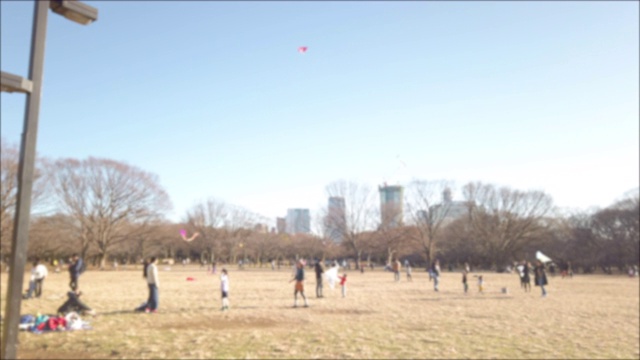 4 k模糊平移。日本东京代代木公园。视频下载