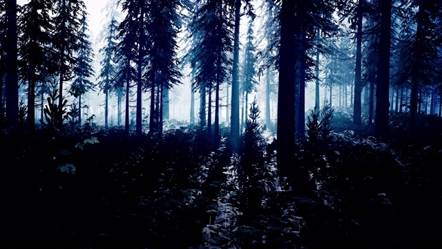 被外星白光照亮的神秘黑暗森林视频下载