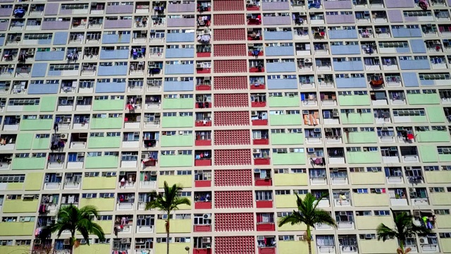 香港彩虹邨前的棕榈树视频素材