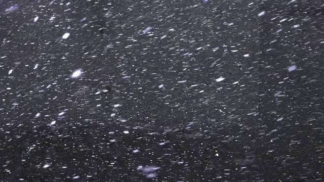 雪花落在灰色的柏油路上，上面的景色。第一场雪视频素材