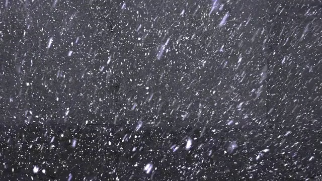 雪花落在灰色的柏油路上，上面的景色。第一场雪视频素材