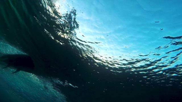 在波浪上滑行的冲浪者视频素材