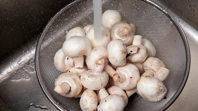 洗肮脏的蘑菇。腌制蘑菇生产中的初步加工视频下载