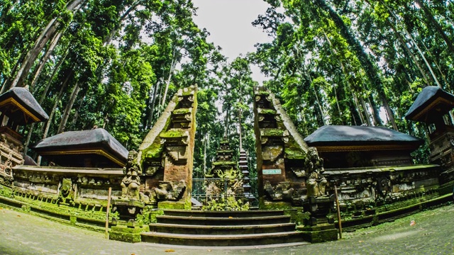 印尼巴厘岛寺庙猴子福里斯特视频下载