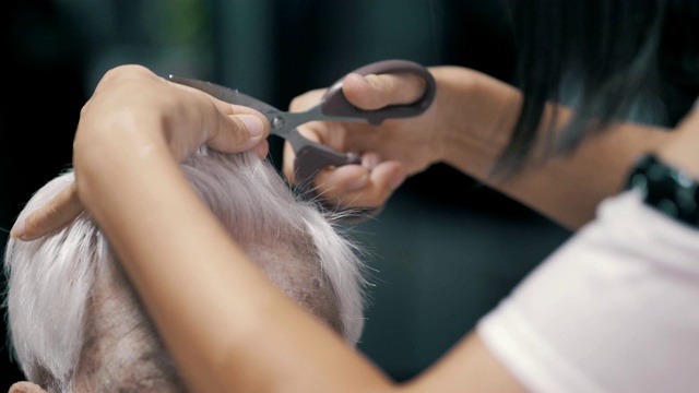 冠状病毒隔离:在家里给孙女剪头发的老年妇女视频素材