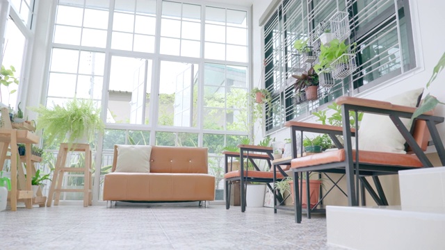 室内现代家居小花园场景摄影，温室小花园放松视频素材