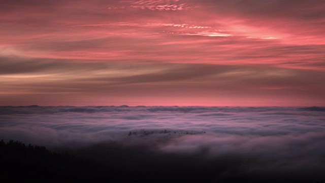 日落进入雾和森林，红木国家公园，加州视频下载