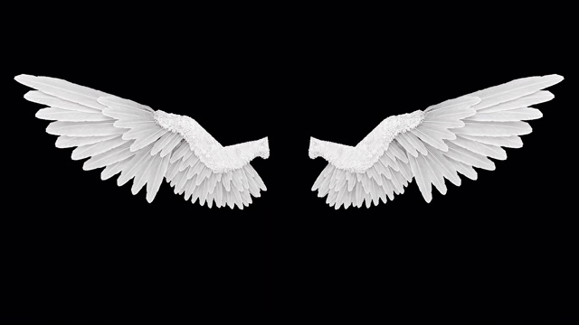 白色天使翅膀和阿尔法通道视频下载