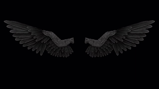 黑色天使翅膀和阿尔法通道视频下载